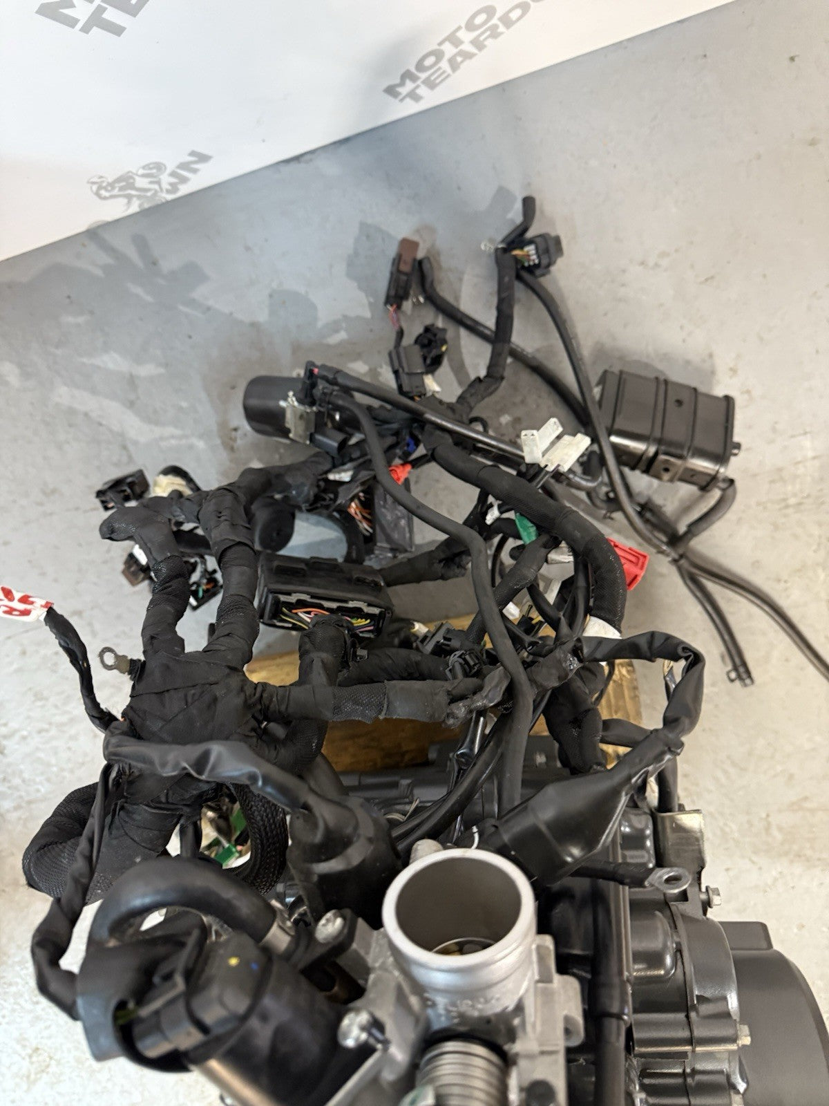 50f2dc96-442c-4b9e-9afa-23251af295c3