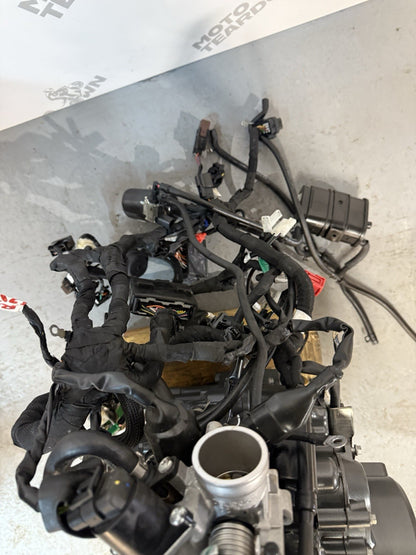 50f2dc96-442c-4b9e-9afa-23251af295c3