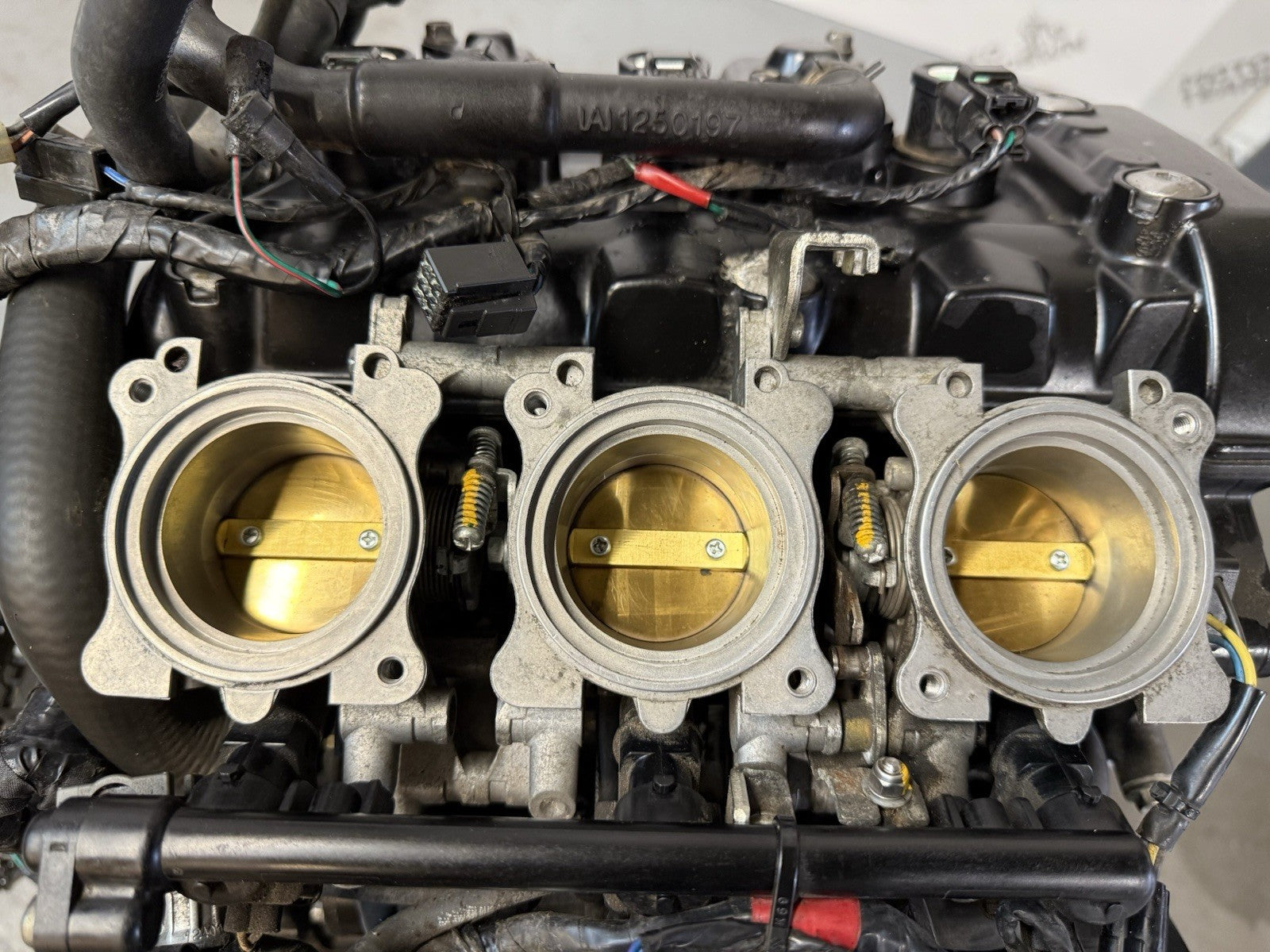 Triumph Street Triple 675R Engine 17,009 MILES 2010 675R Engine And Wiring Loom