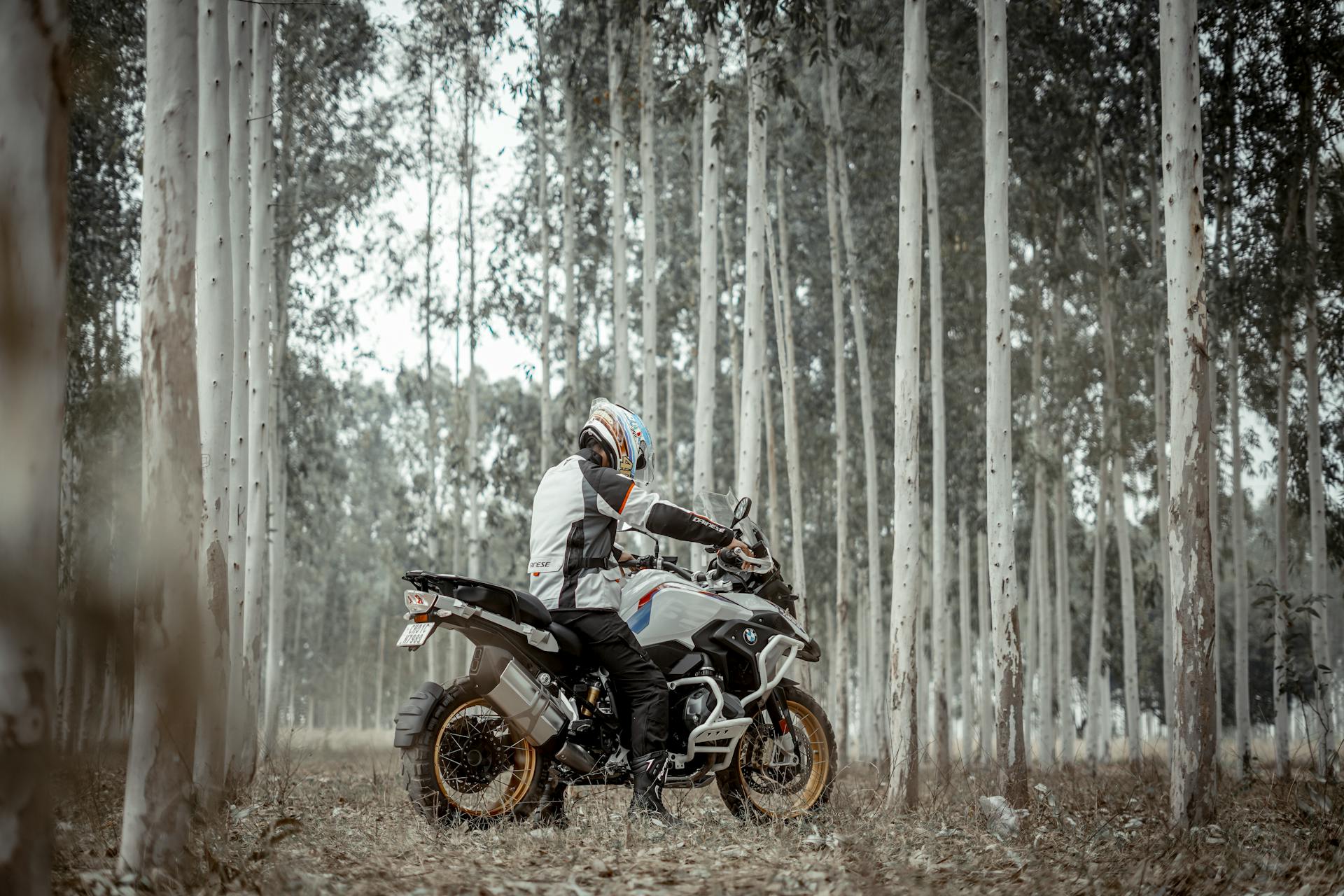 BMW motorbike and rider
