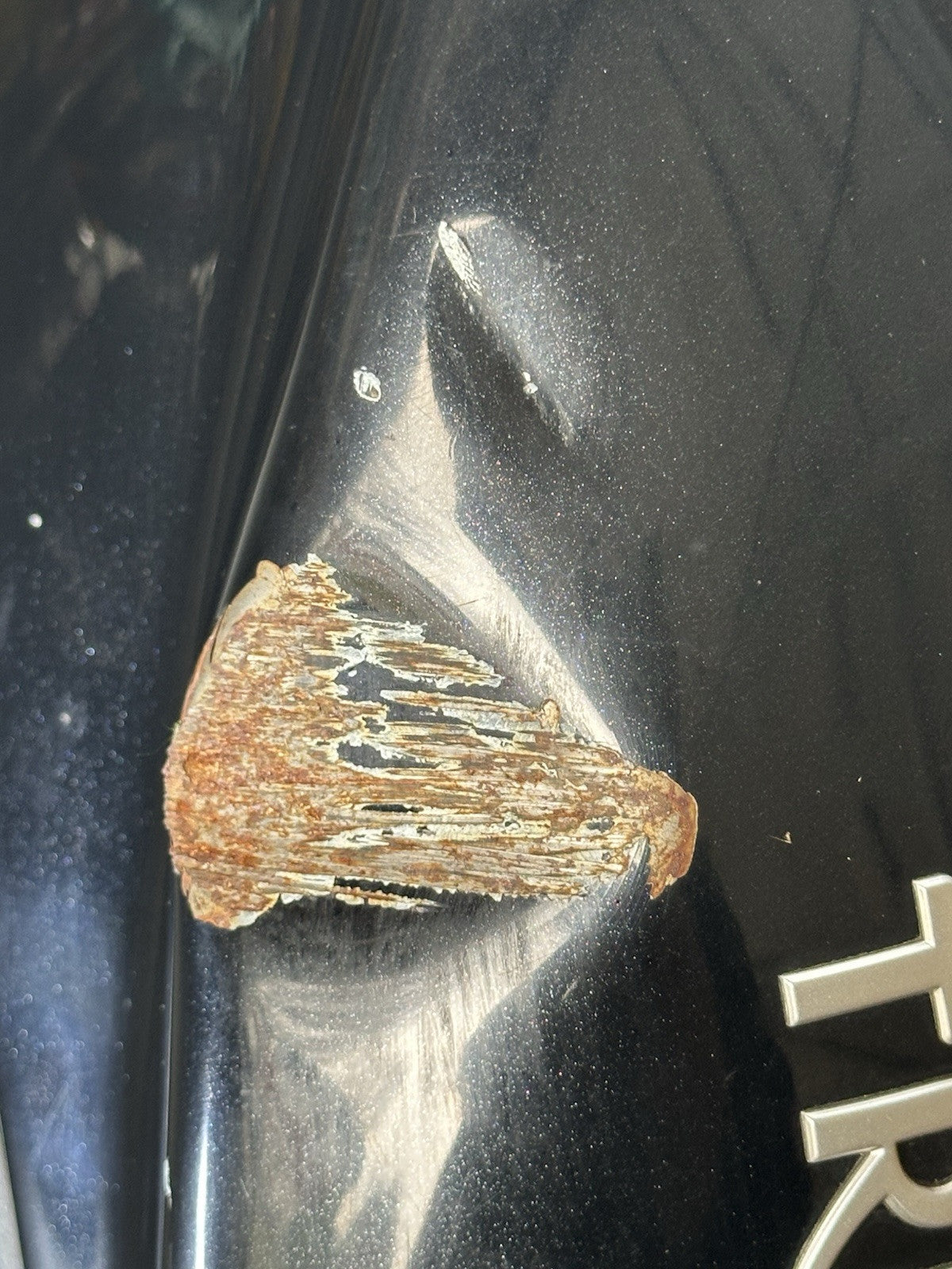 TRIUMPH STREET TRIPLE 675R PETROL TANK FUEL TANK YEAR 2011 OEM 675R Fuel Tank